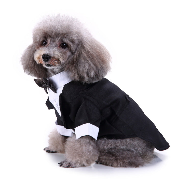 Dog Black Suit - Special Occasion