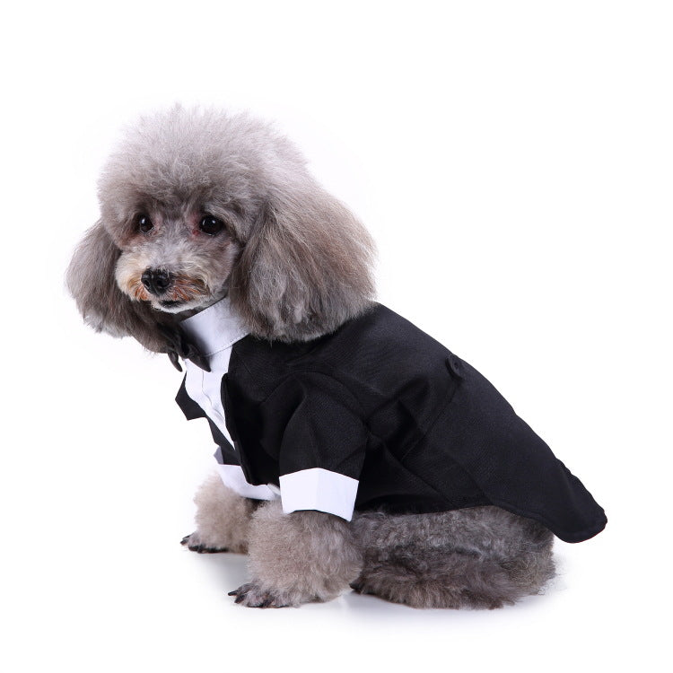 Dog Black Suit - Special Occasion