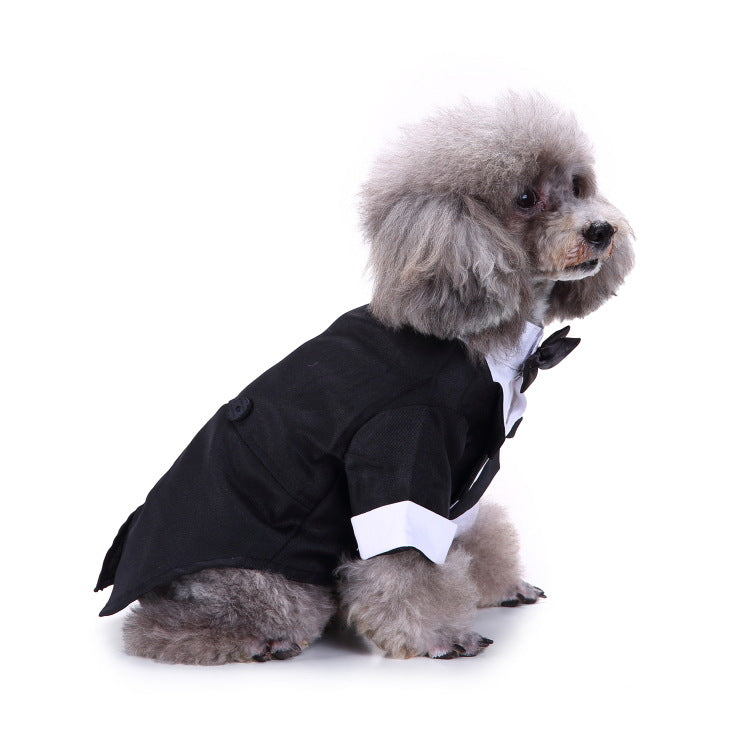 Dog Black Suit - Special Occasion