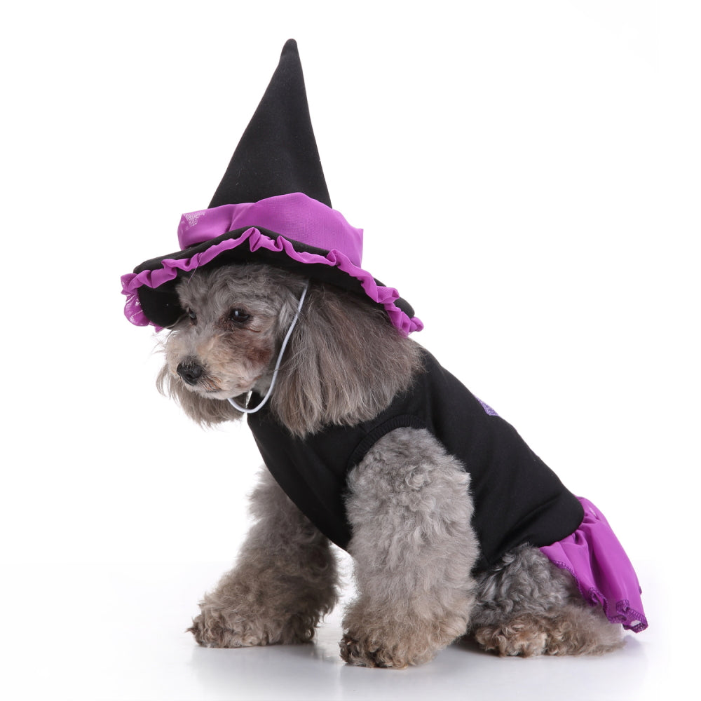 Dog Costume - Purple Witch