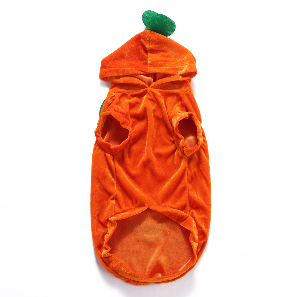 Dog Costume - Pumpkin