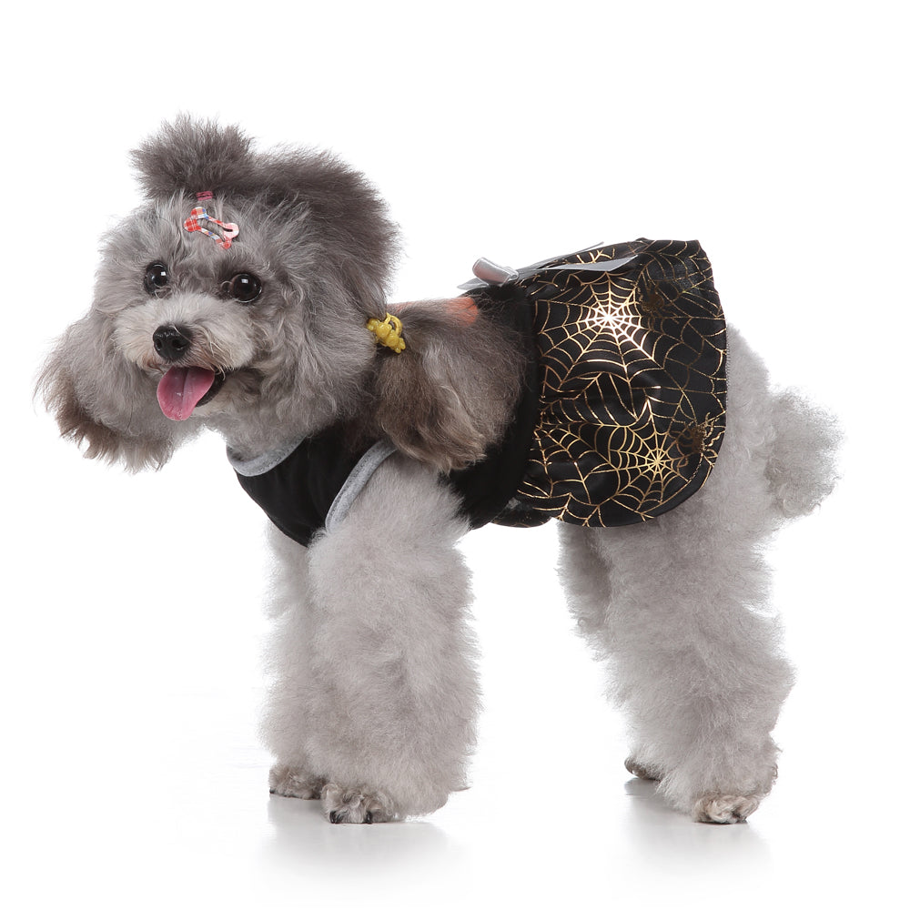 Dog Costume - Spiderwebs