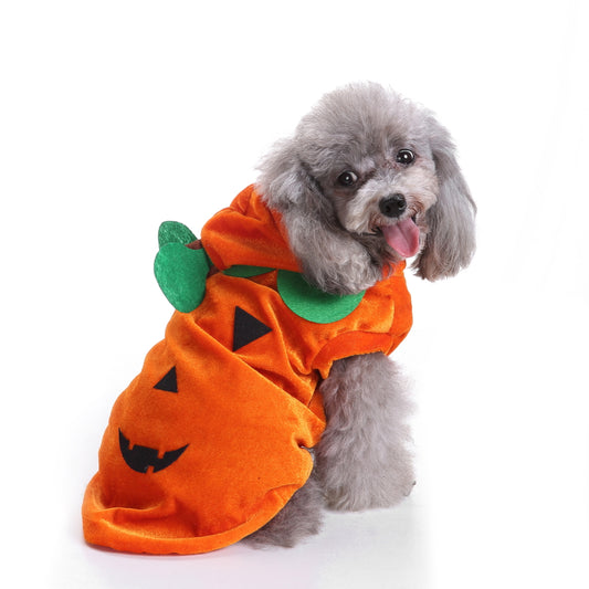 Dog Costume - Pumpkin