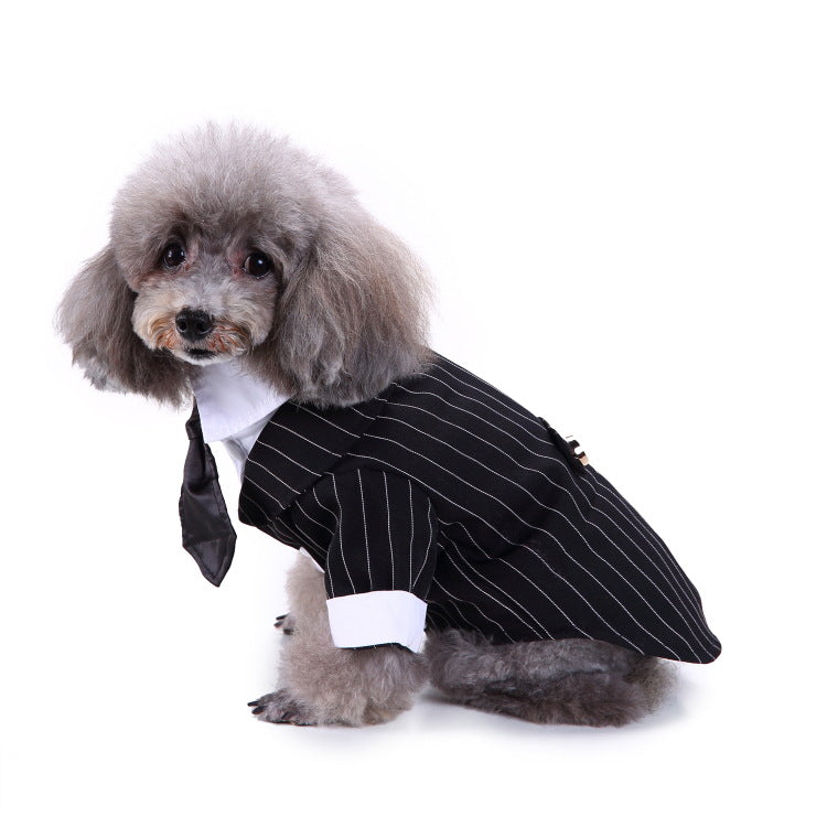 Dog Black Pinstripe Suit - Special Occasion