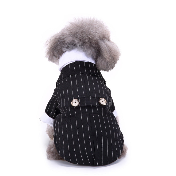 Dog Black Pinstripe Suit - Special Occasion