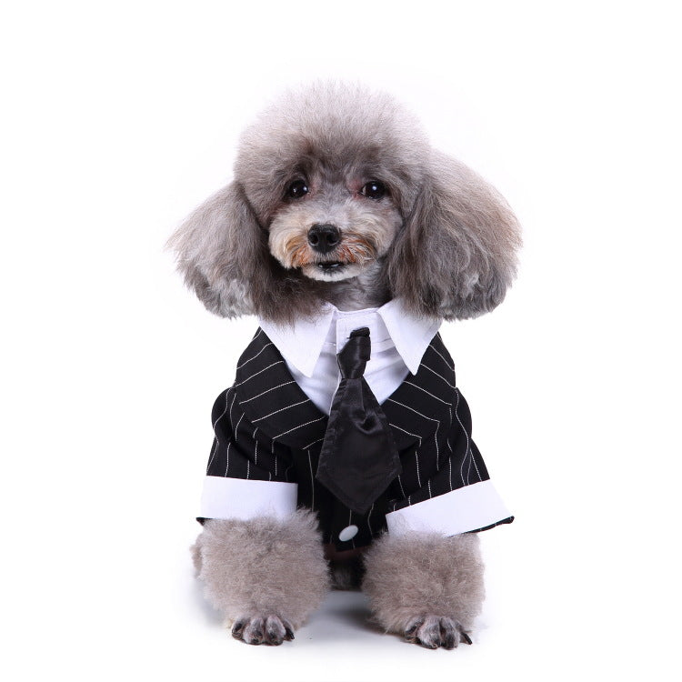 Dog Black Pinstripe Suit - Special Occasion